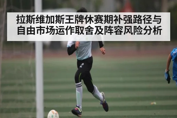 拉斯维加斯王牌休赛期补强路径与自由市场运作取舍及阵容风险分析